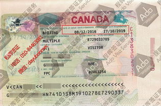 簽證服務批發(fā)與供應 商務簽證的快捷解決方案